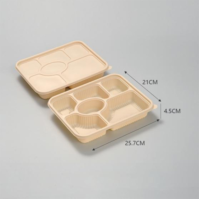 Hitray Disposable Rectangle Container Biodegradable Large Food Packaging Folding Box with Clear Lid