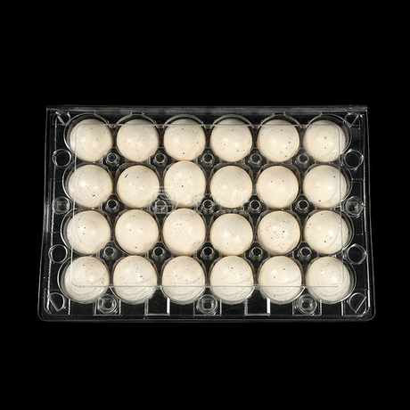 Hitray 24-Count 40 أفكار تصميم تغليف البيض الرائعة 