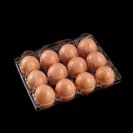 Hitray12-Count Count Clay Plastic Egg Controns